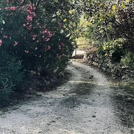 Moradia Na Serra Alcanede Buitenkant foto