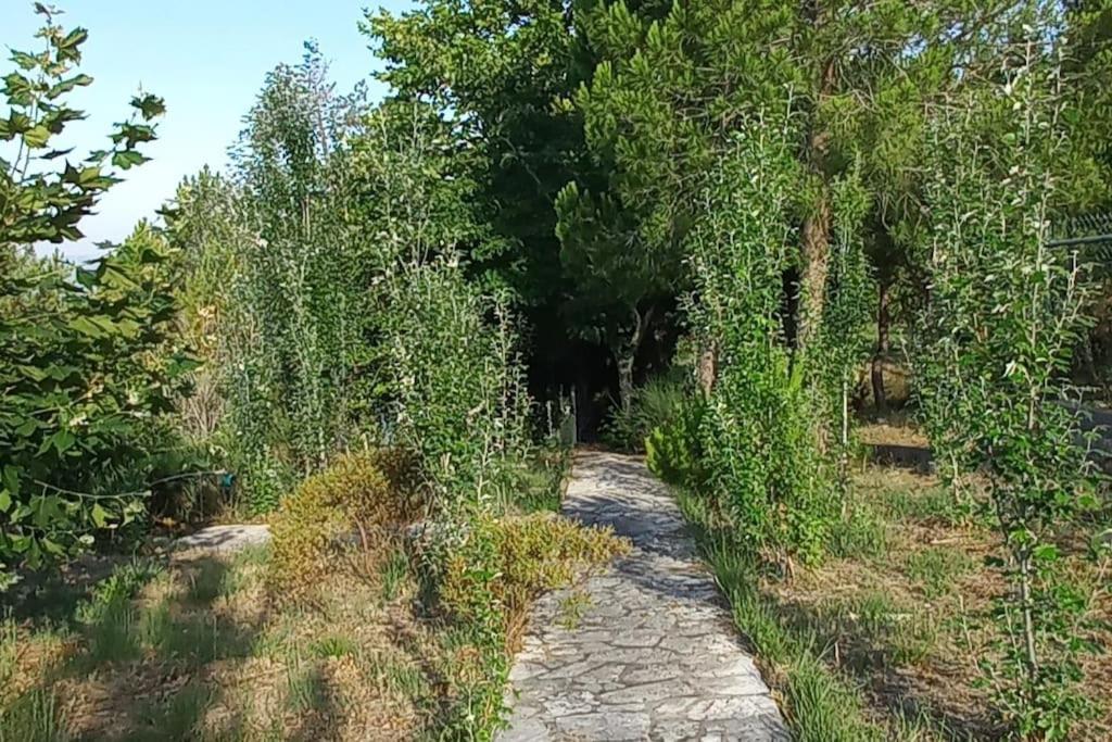 Moradia Na Serra Alcanede Buitenkant foto