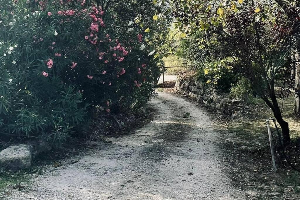 Moradia Na Serra Alcanede Buitenkant foto